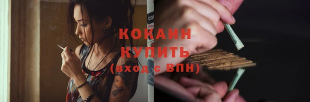 прущие крисы Няндома