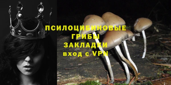 прущие крисы Няндома