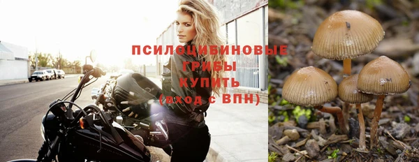 прущая мука Нязепетровск