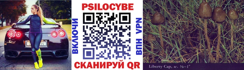 купить наркотики цена  Суздаль  Галлюциногенные грибы Cubensis 